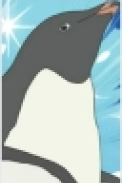 Adelie Penguin