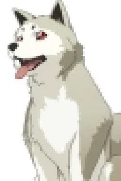 Koromaru